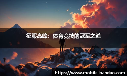 半岛体育官方网站