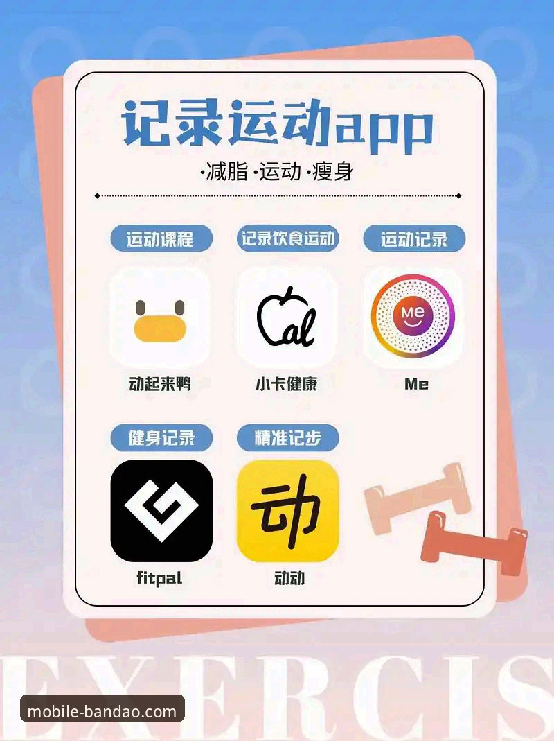 半岛体育手机版手机版教程 半岛体育手机版手机版教程:App最新版本与官网下载的全面对比,哪个更好用?